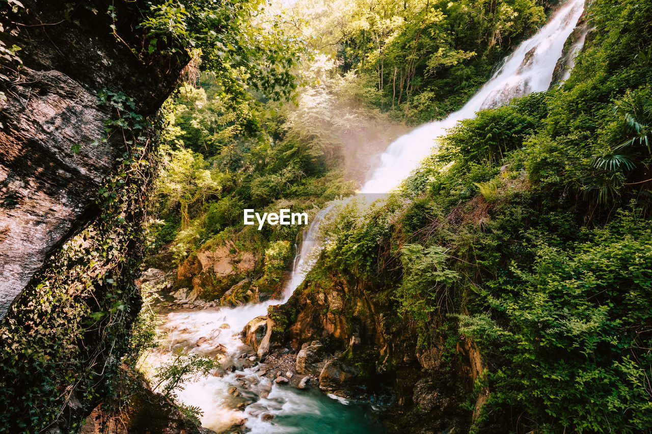 Waterfall immersed in the vegetation of the orrido of bellano, long exposure