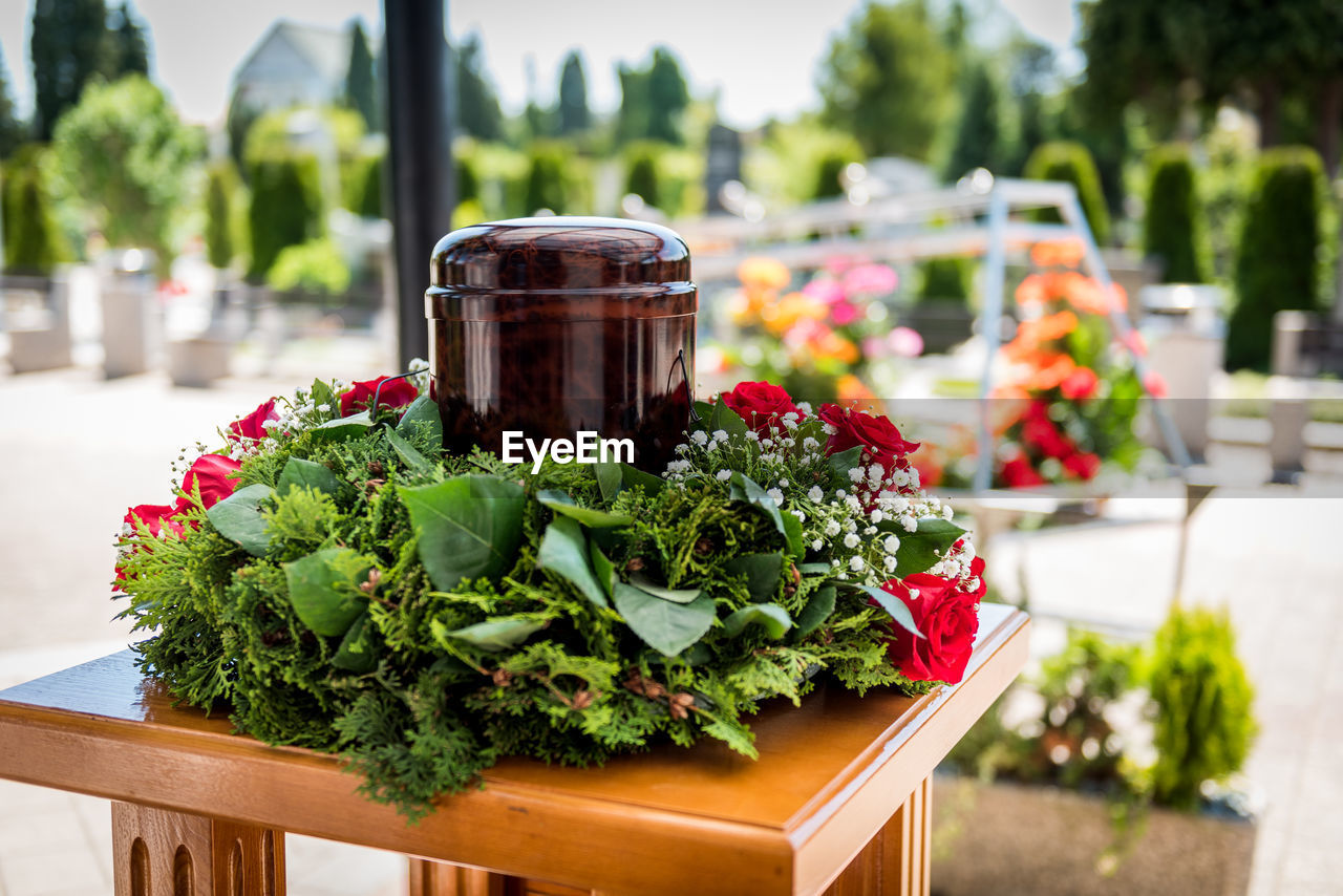 Close-up of potted plant on table