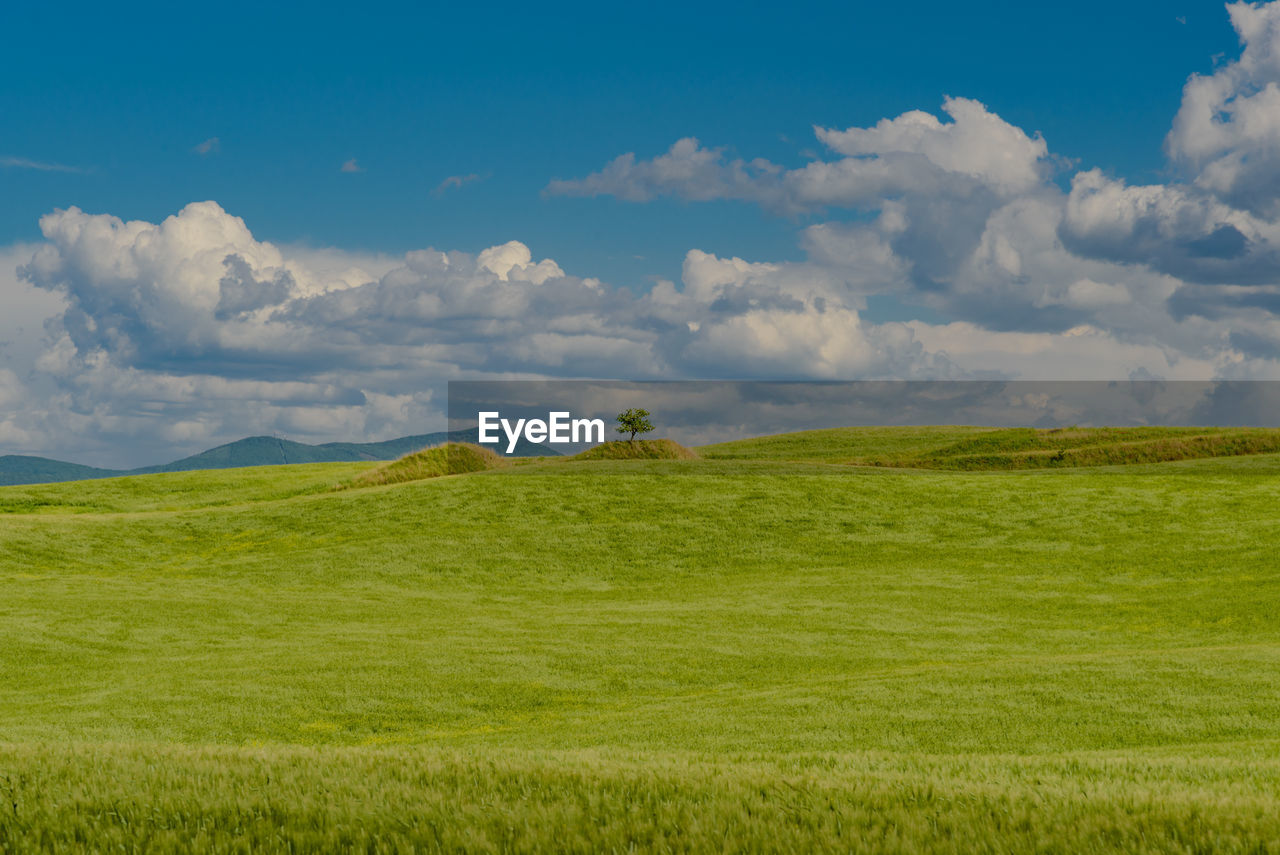 Scenic view of golf course against sky