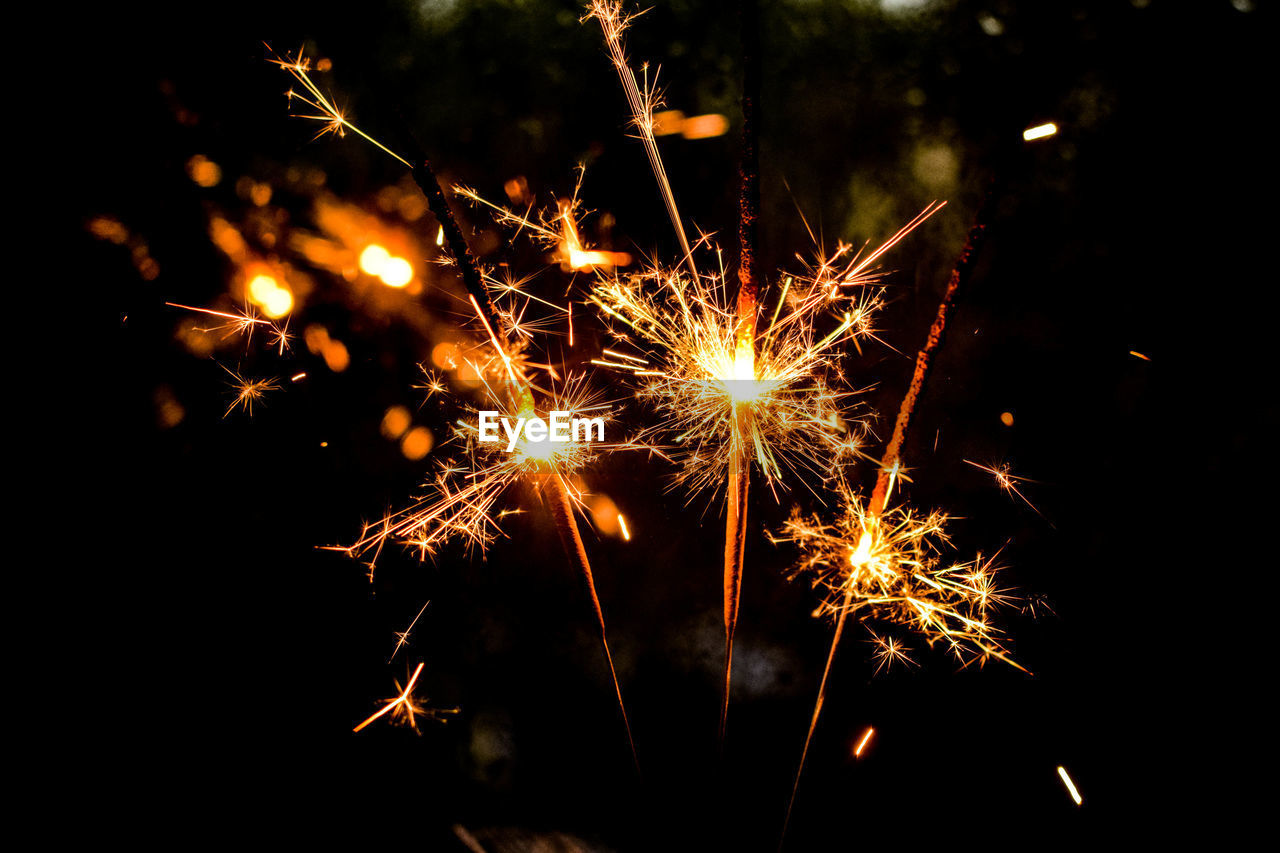 Close-up of illuminated sparklers at night