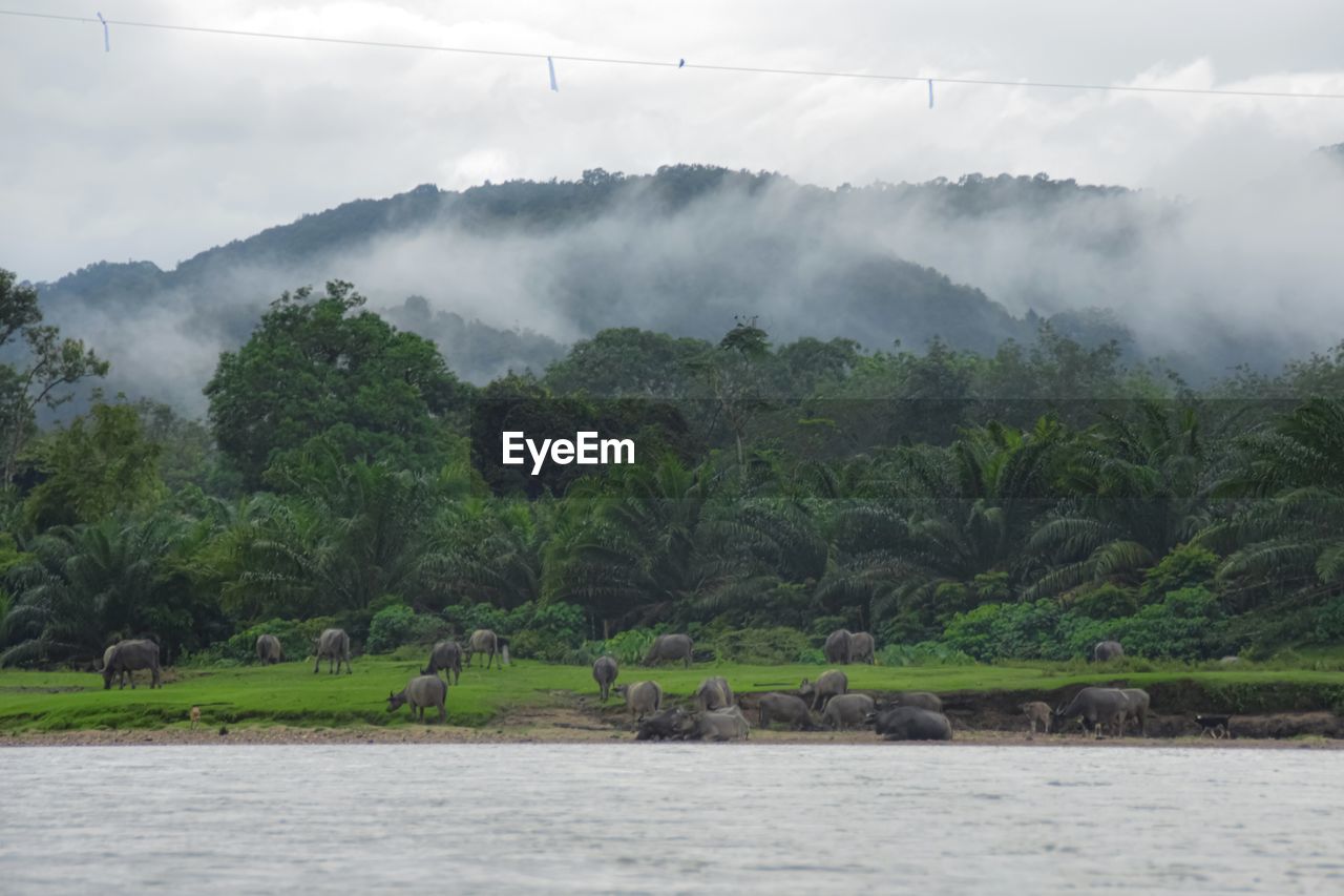 Scenic view of lake against sky