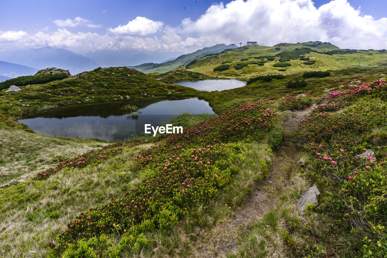 SCENIC VIEW OF GREEN LANDSCAPE AGAINST SKY