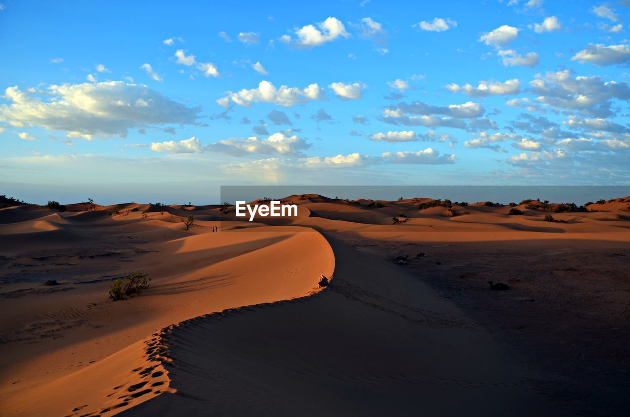 HIGH ANGLE VIEW OF SAND DUNES IN DESERT AGAINST SKY