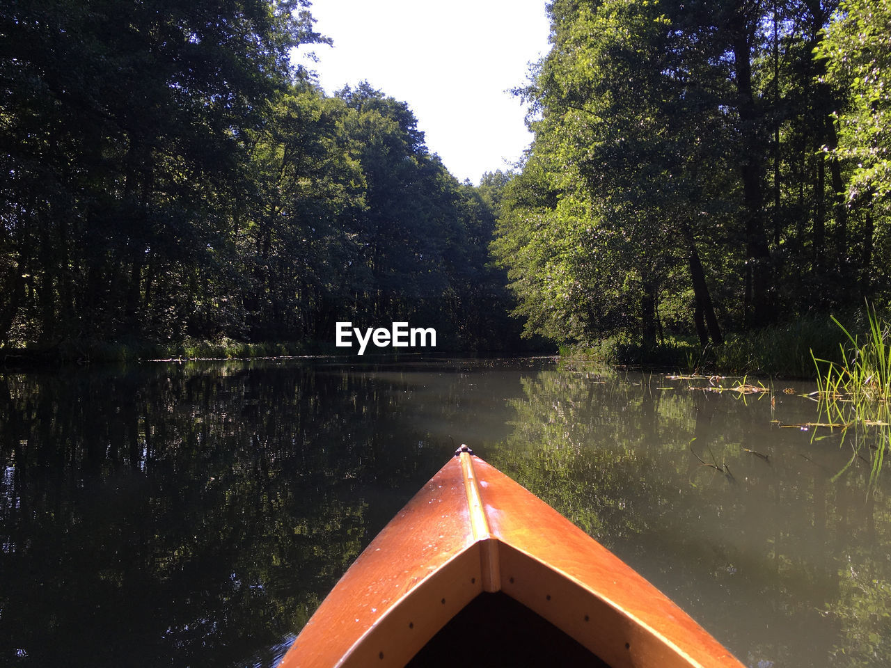 REFLECTION OF TREES IN LAKE AGAINST FOREST