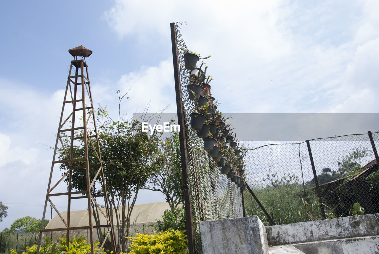 LOW ANGLE VIEW OF PLANT AGAINST SKY