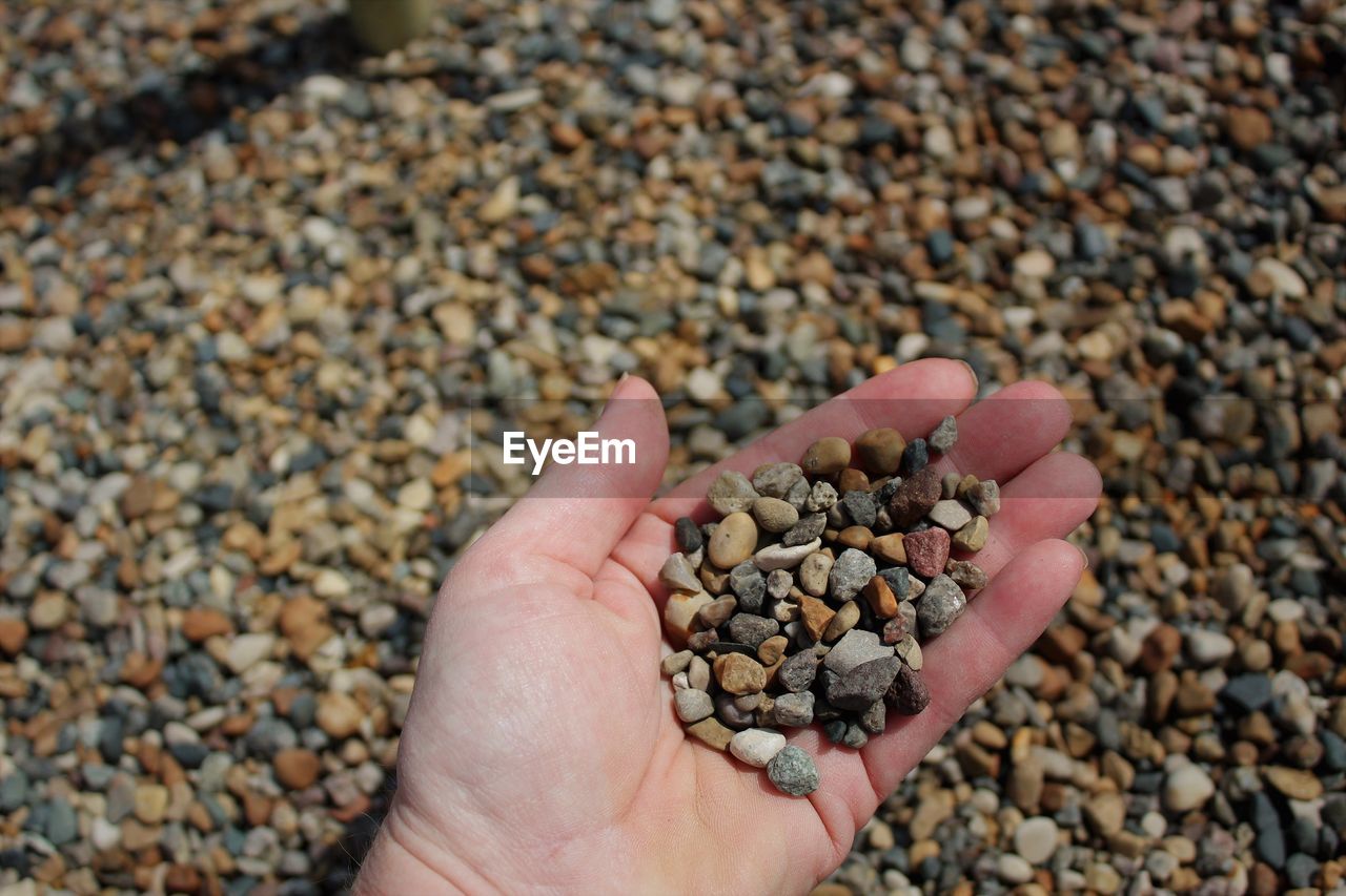 Cropped hand of person holding pebbles at beach during sunny day