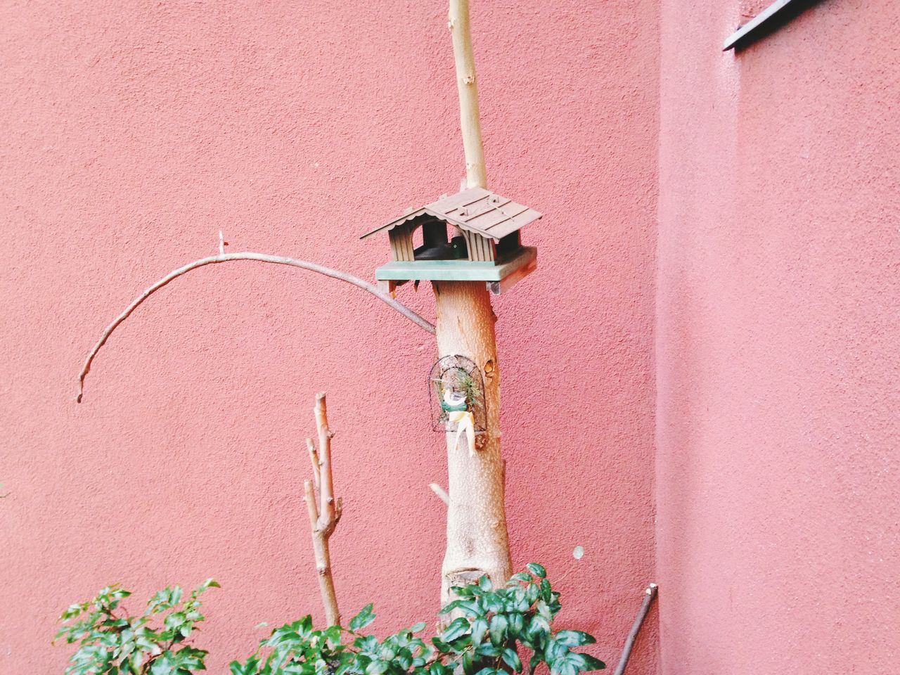 Birdhouse on log against pink wall