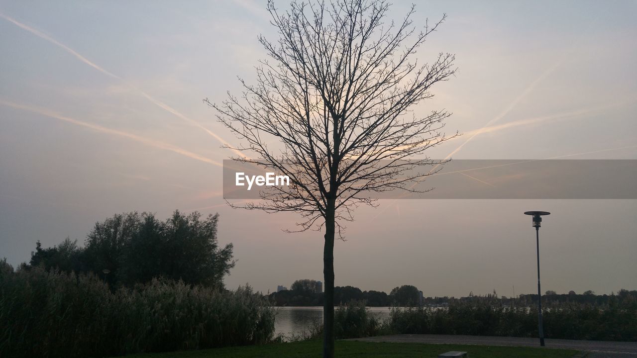 SILHOUETTE TREE ON LANDSCAPE AGAINST SKY