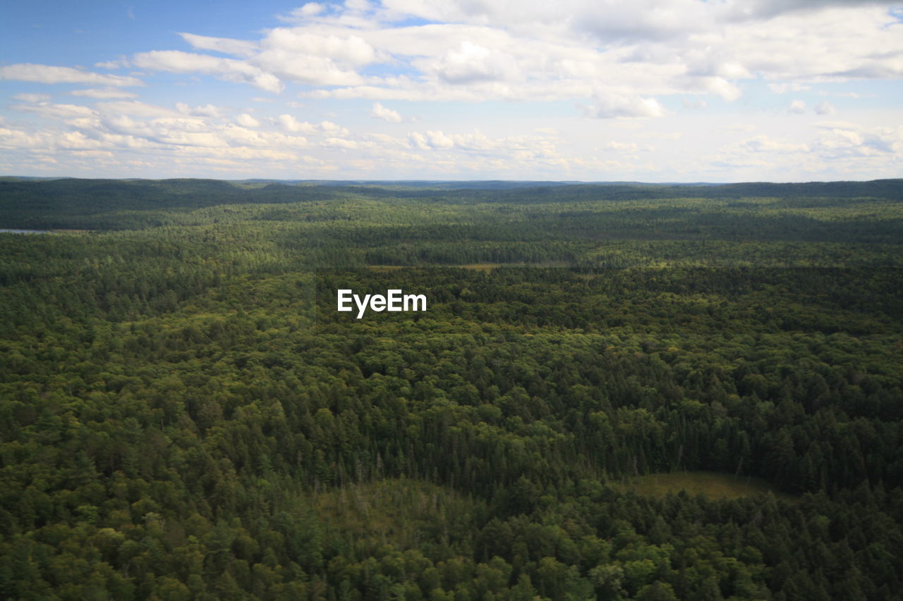 SCENIC VIEW OF GREEN LANDSCAPE AGAINST SKY