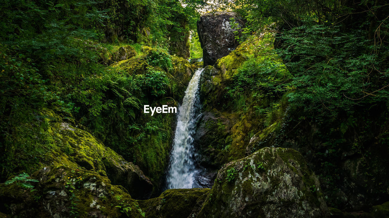 SCENIC VIEW OF WATERFALL