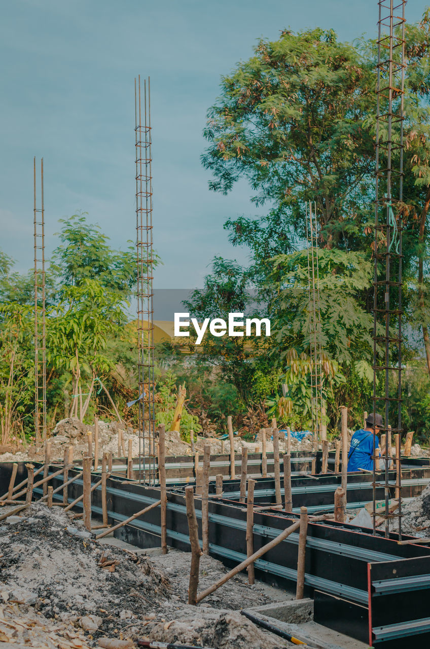 tree, plant, nature, day, sky, growth, architecture, outdoors, built structure, land, men, urban area, wood