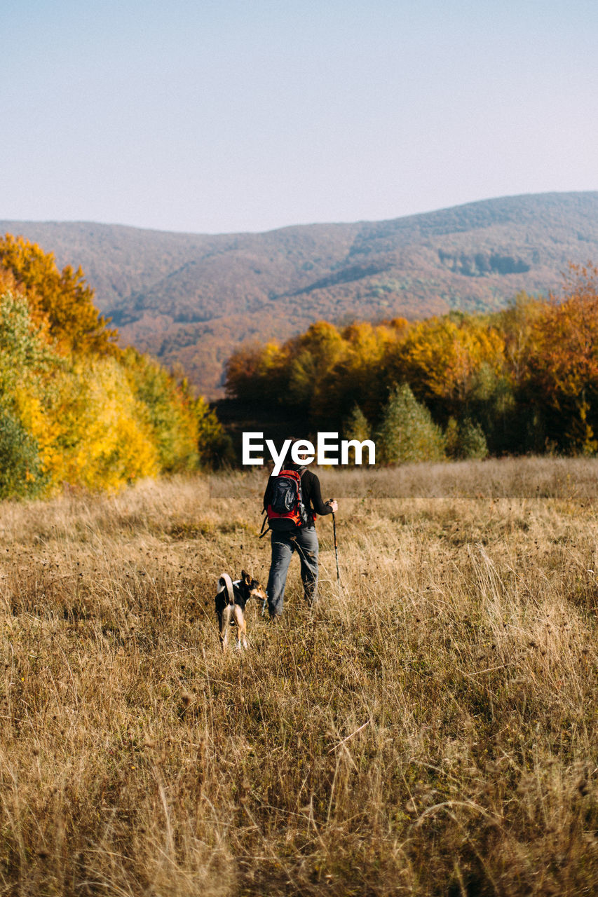 Man and dog hiking in autumn mountains landscape