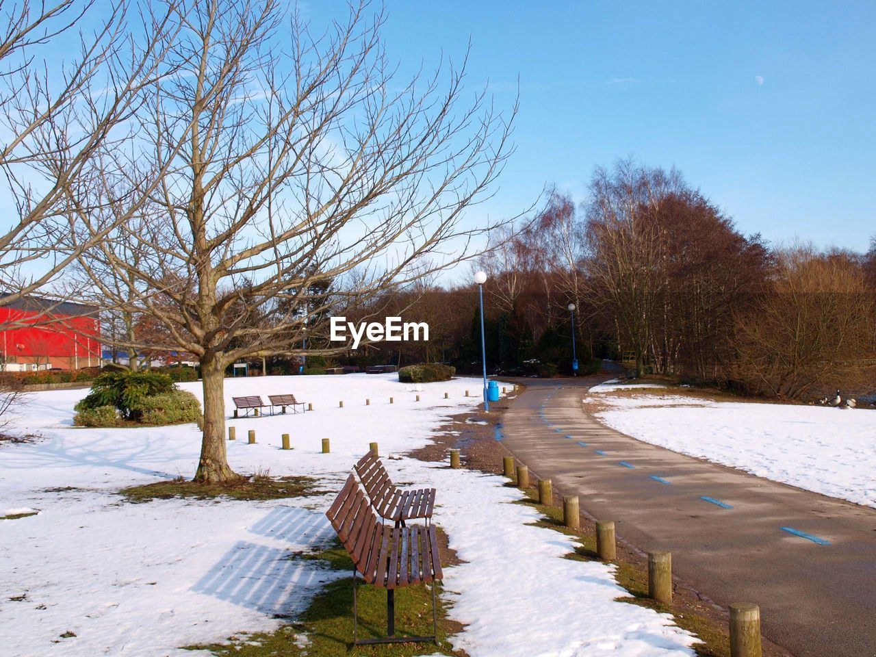 BENCH AND BARE TREES IN WINTER