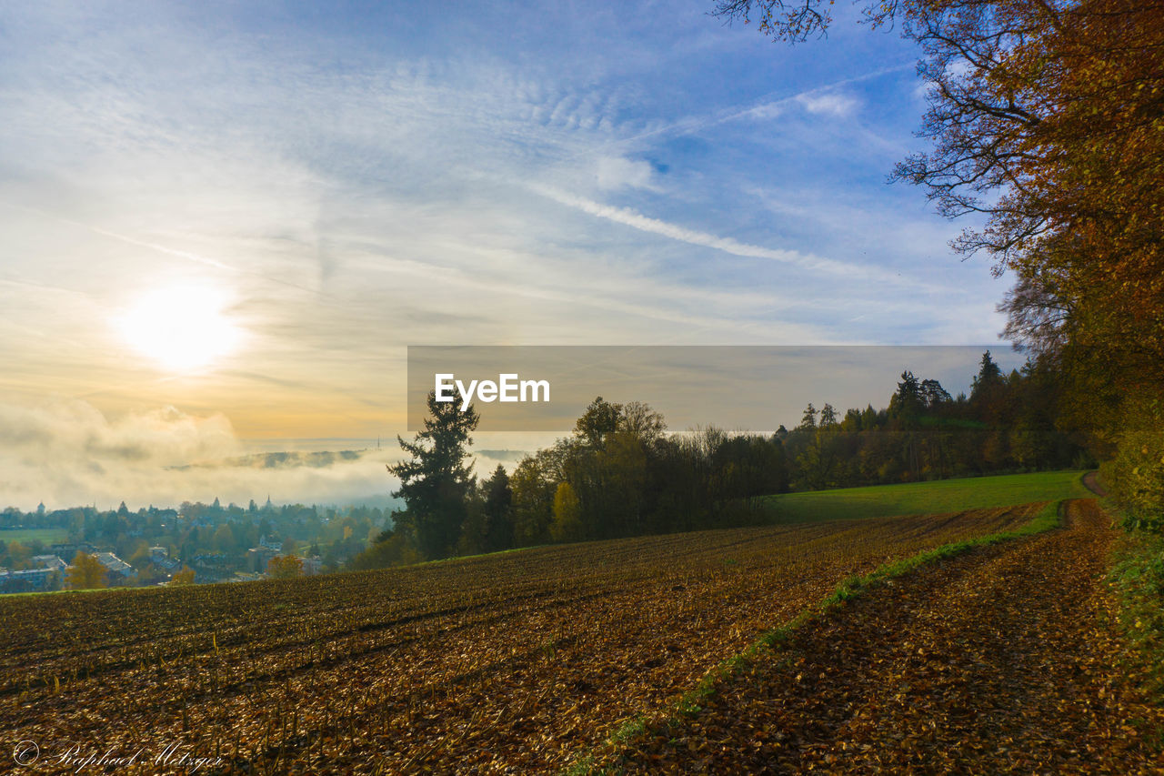 SCENIC VIEW OF FIELD AGAINST SKY DURING SUNSET