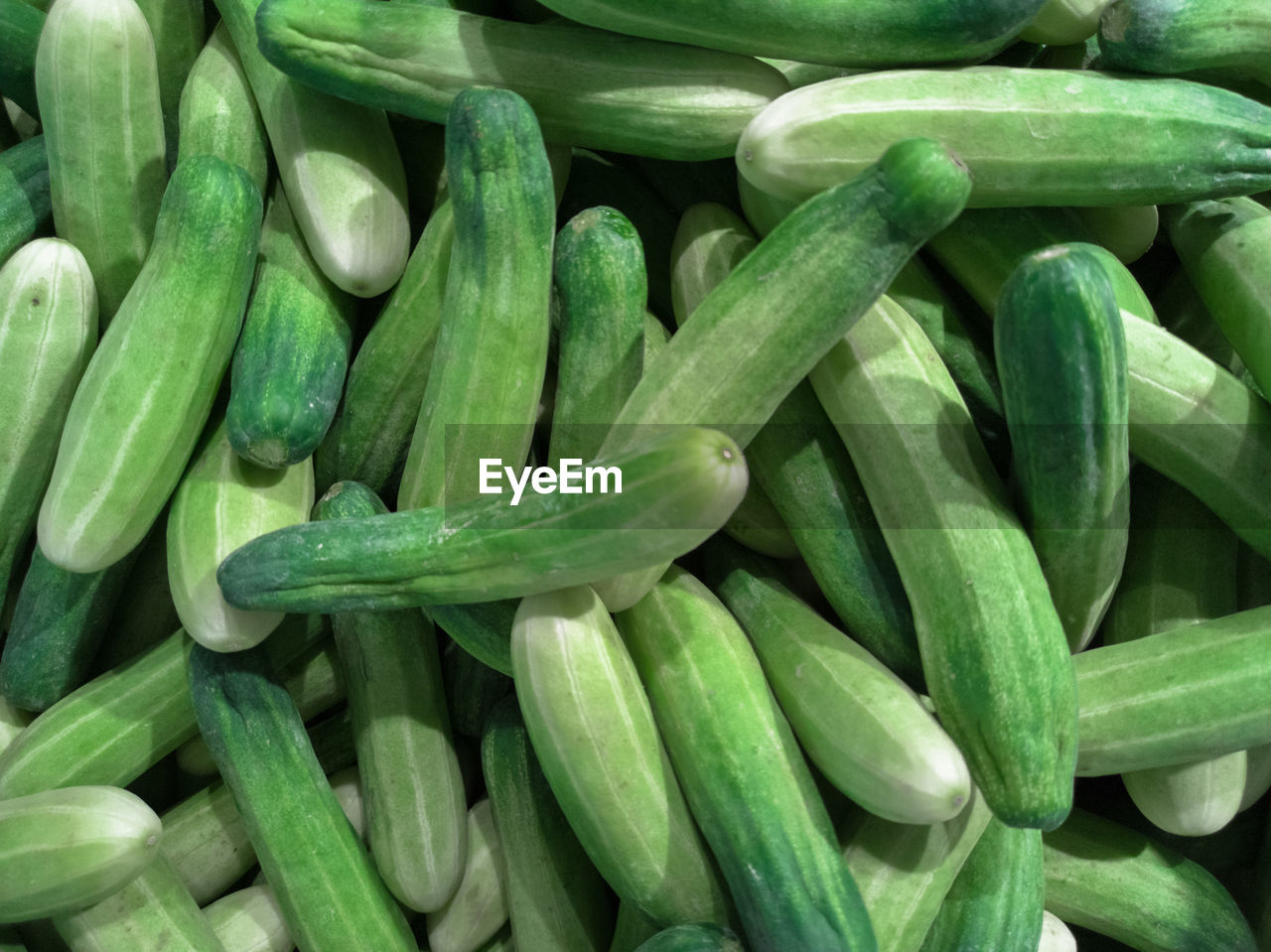 FULL FRAME SHOT OF FRESH GREEN VEGETABLES