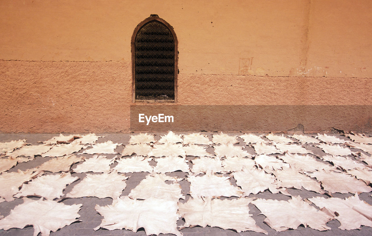 Leather drying on street against building