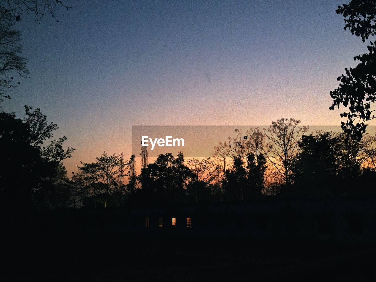 Silhouette trees against sky during sunset