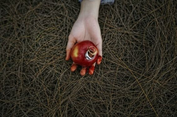 Cropped image of person holding apple