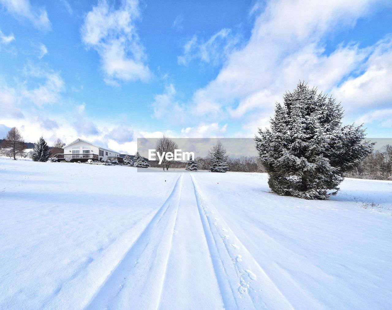 SNOW COVERED PLANTS ON FIELD AGAINST SKY