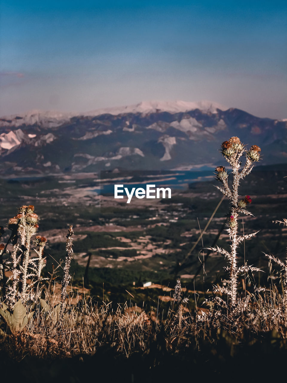 Firework display on mountain against sky during sunset