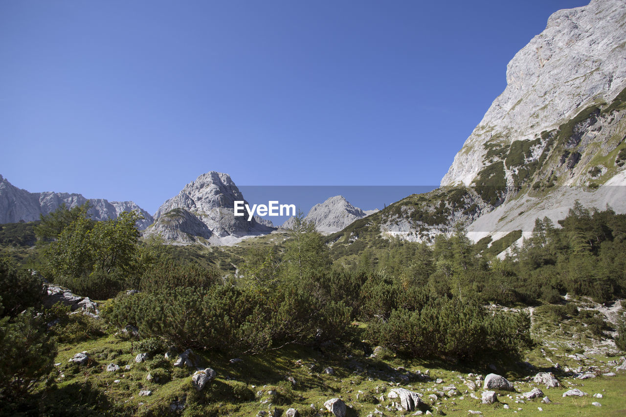 mountain, scenics - nature, sky, mountain range, beauty in nature, environment, plant, landscape, nature, tree, wilderness, rock, clear sky, land, adventure, valley, snow, walking, coniferous tree, pine tree, travel destinations, plateau, pinaceae, travel, no people, tranquility, mountain peak, tranquil scene, non-urban scene, ridge, backpacking, blue, day, outdoors, cold temperature, leisure activity, sunny, pine woodland, mountain pass, activity, tourism, forest, winter, grass, idyllic, outdoor pursuit, snowcapped mountain, green, summer