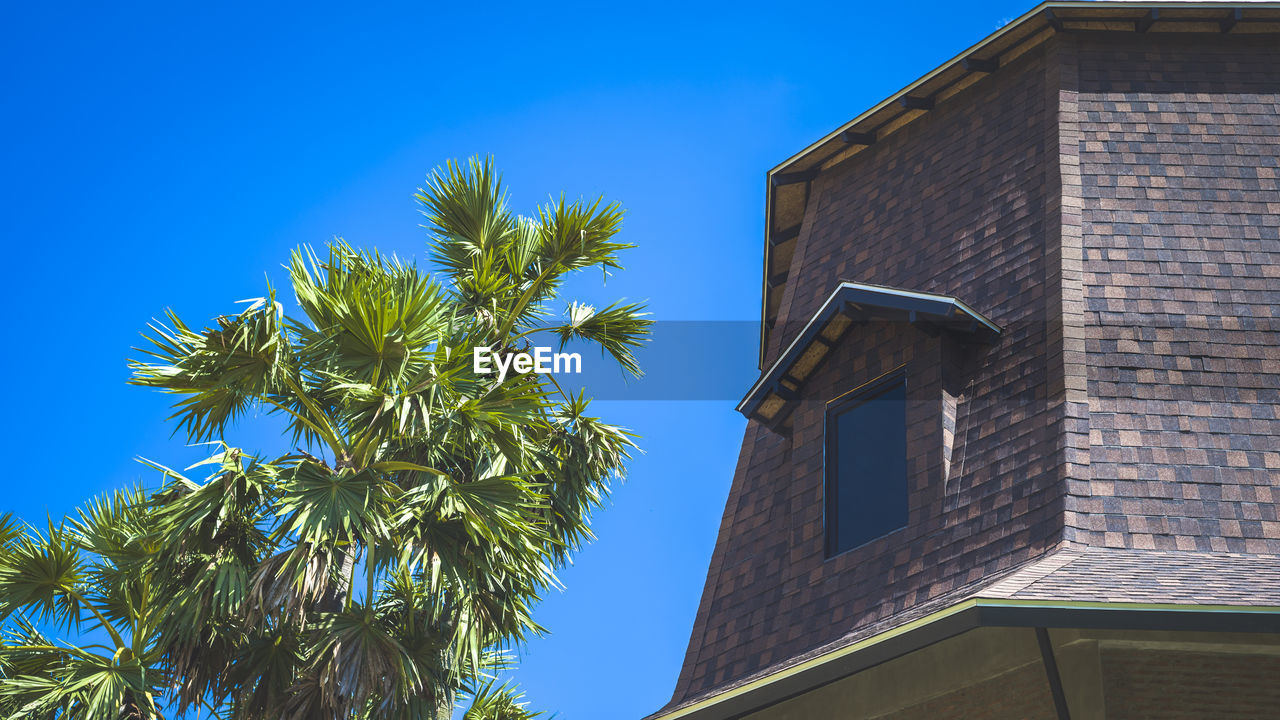 LOW ANGLE VIEW OF PALM TREES AGAINST BUILDING