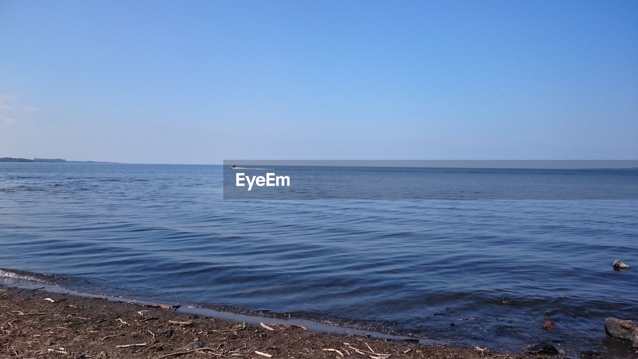 SCENIC VIEW OF BEACH AGAINST CLEAR BLUE SKY