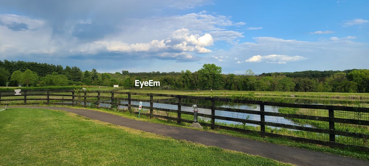 TREES GROWING ON FIELD AGAINST SKY