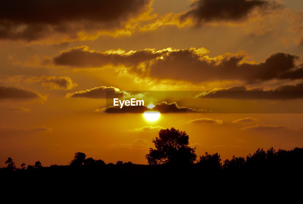 Scenic view of silhouette trees against dramatic sky during sunset