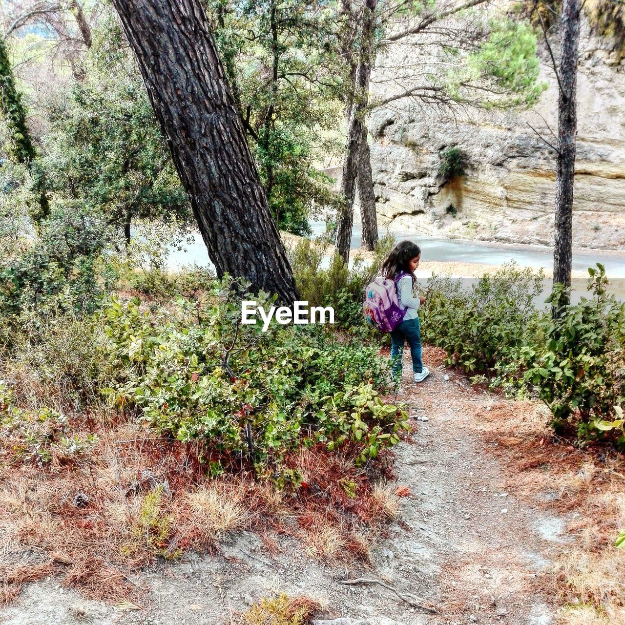 High angle view of girl standing on footpath amidst trees