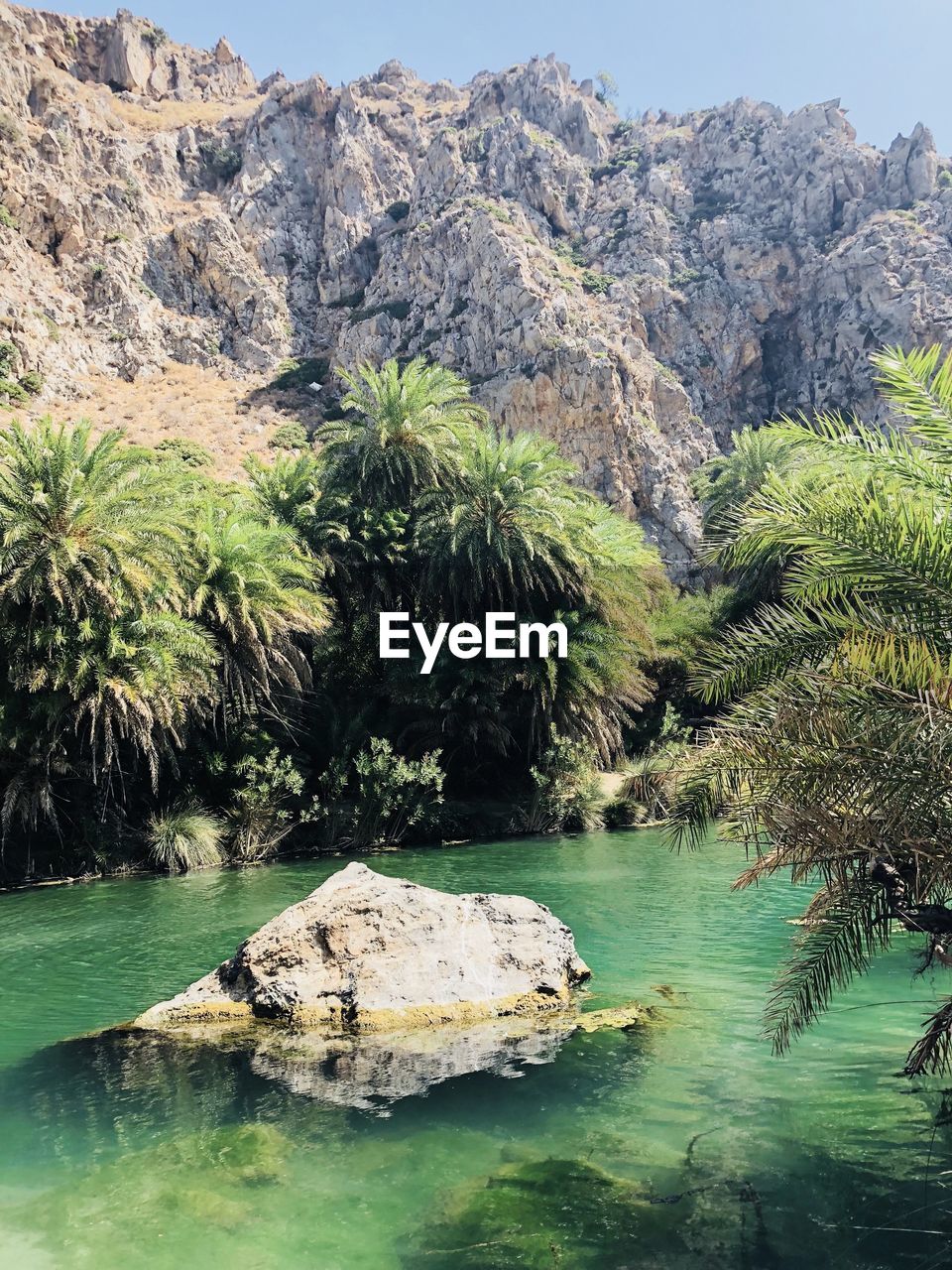 SCENIC VIEW OF ROCK FORMATION BY TREES