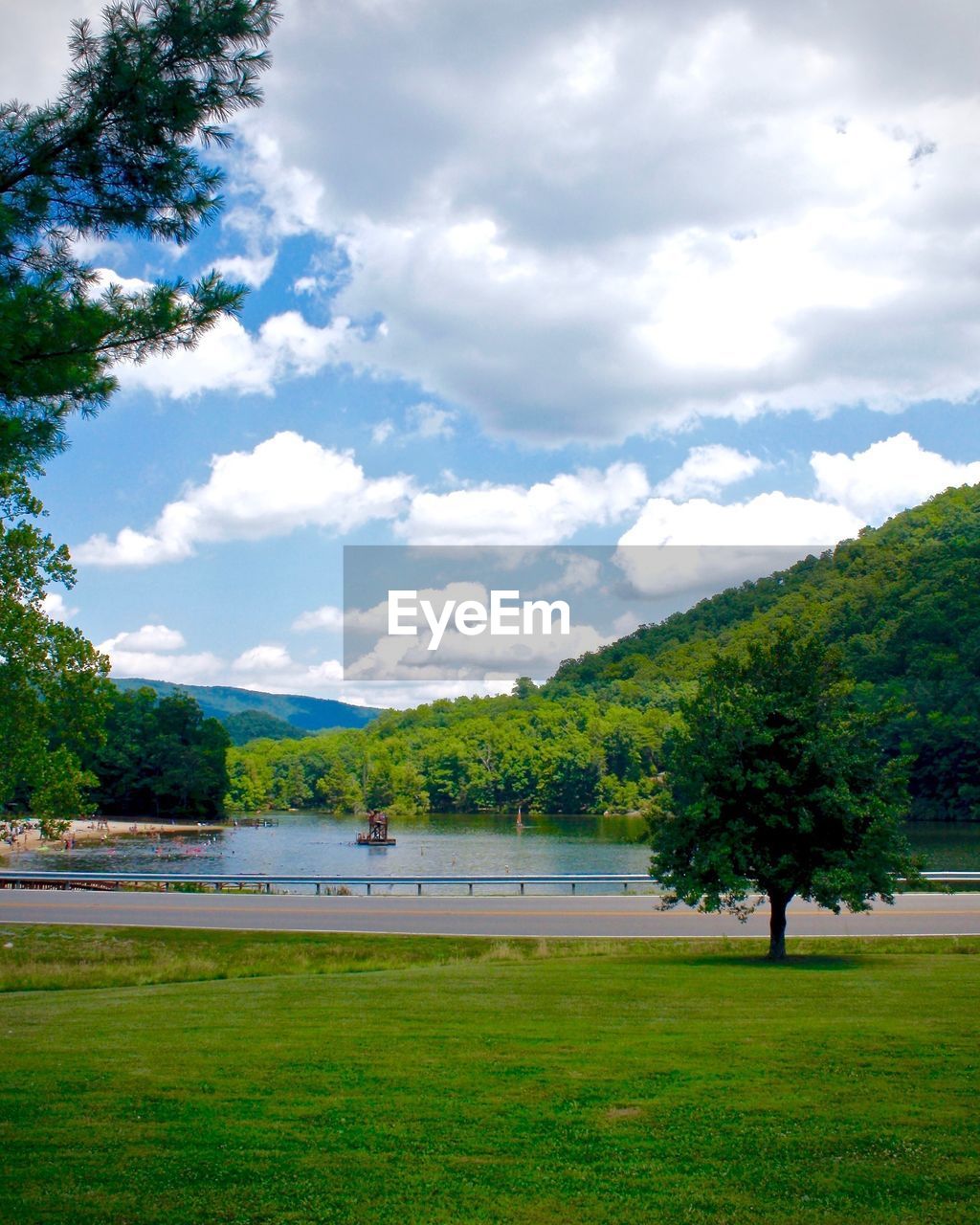 SCENIC VIEW OF TREES AND LANDSCAPE AGAINST SKY