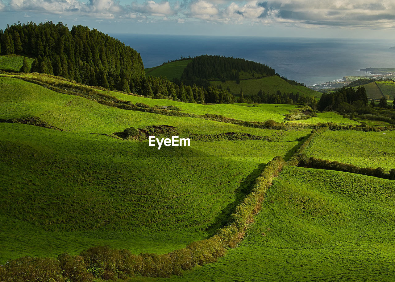 Green scenery shadow and light azores