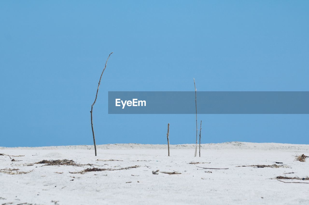 sky, natural environment, blue, land, clear sky, nature, environment, no people, landscape, scenics - nature, wind, snow, beauty in nature, sand, day, copy space, sunny, tranquility, desert, sea, tranquil scene, outdoors, winter, non-urban scene, sunlight, climate, travel, arid climate