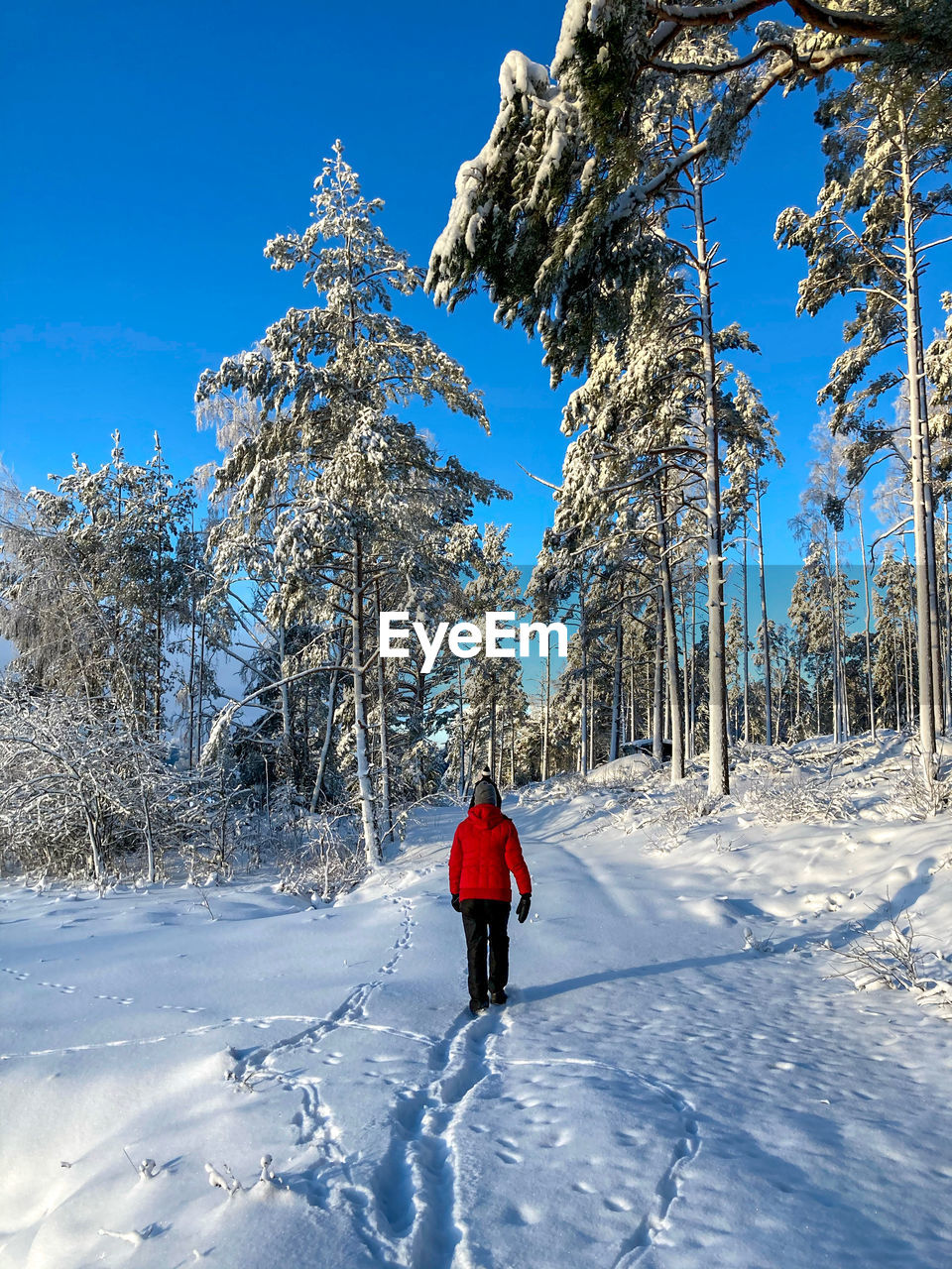 Rear view of person walking on snow covered field against sky and snowy trees.