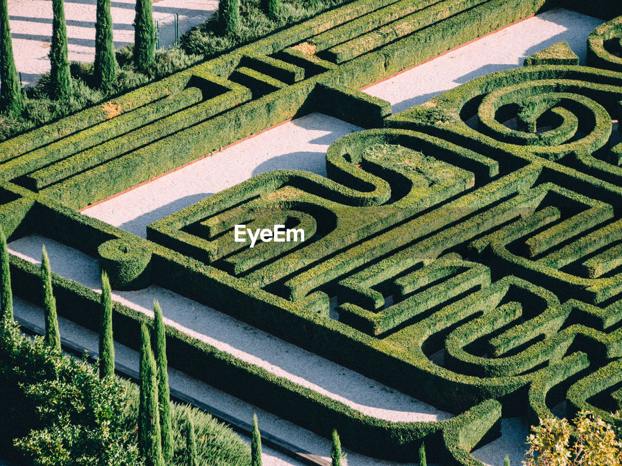 High angle view of hedges in garden