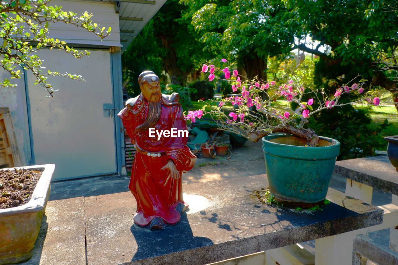 plant, one person, nature, flower, adult, full length, garden, day, women, flowerpot, growth, lifestyles, clothing, standing, outdoors, front view, potted plant, sunlight, flowering plant, traditional clothing, temple, architecture, tree, looking at camera, backyard, senior adult, female, portrait, leisure activity