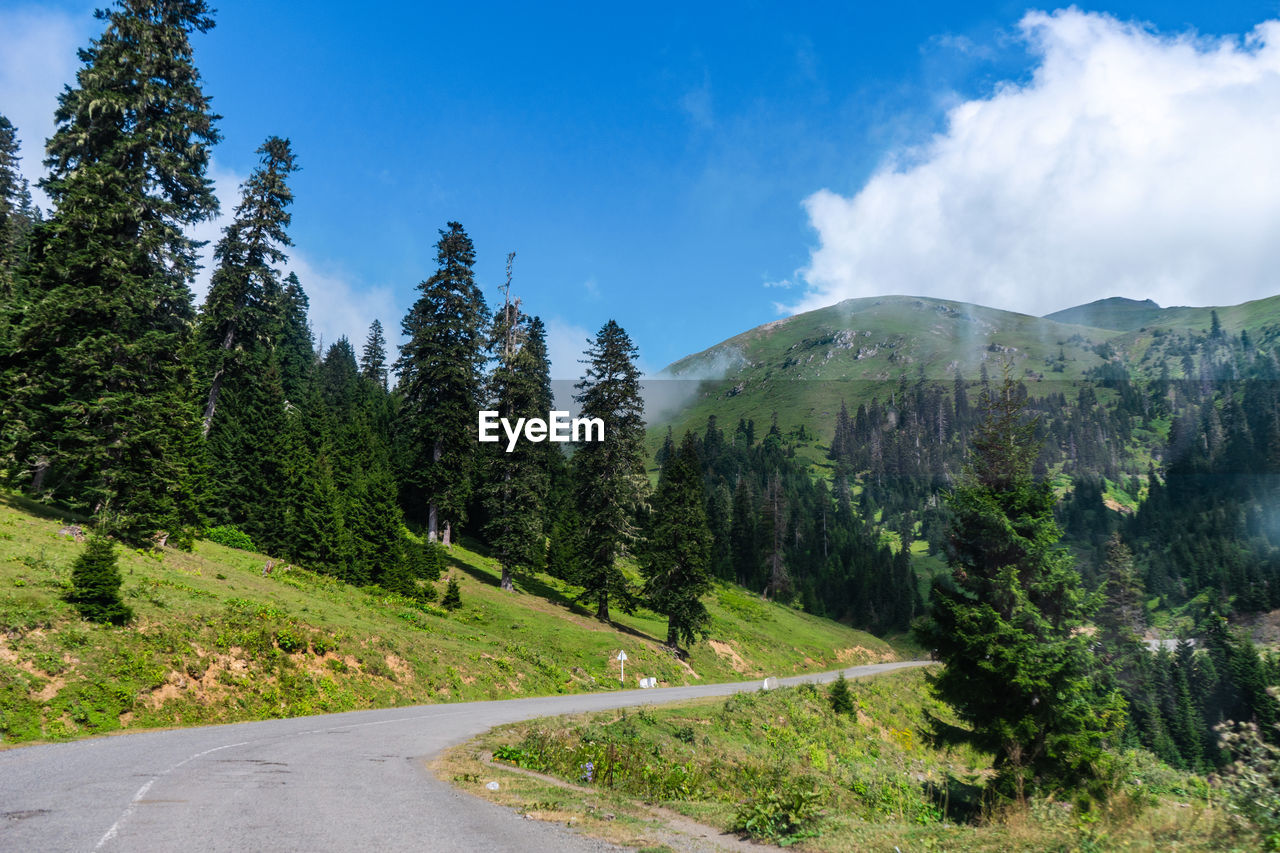 Curvy asphalt road going near grassy mountain slopes against cloudy blue sky in summer