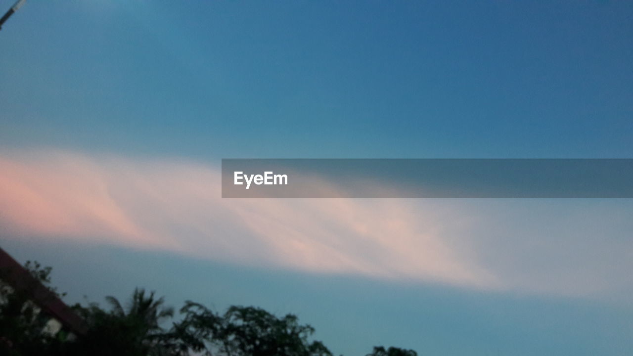 LOW ANGLE VIEW OF SILHOUETTE TREES AGAINST SKY