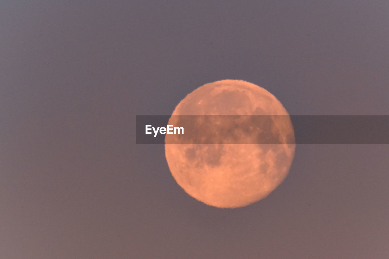 LOW ANGLE VIEW OF MOON IN SKY