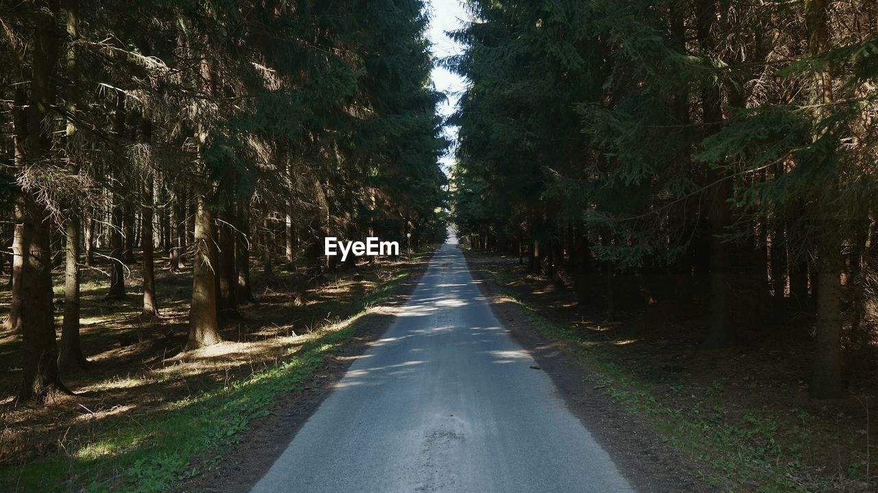 Road amidst trees against sky