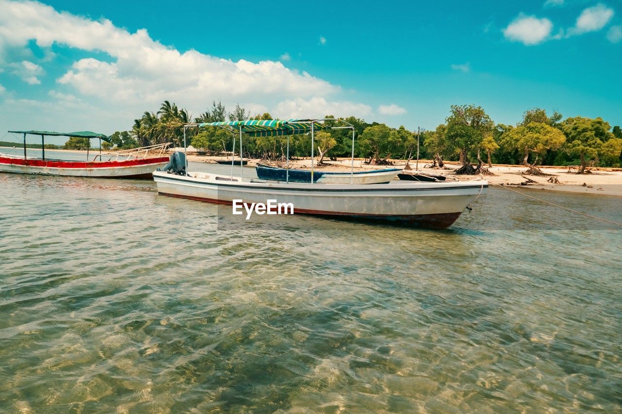 View of fishing boats amidst mangrove trees on the beach at funzi island in diani beach, kenya