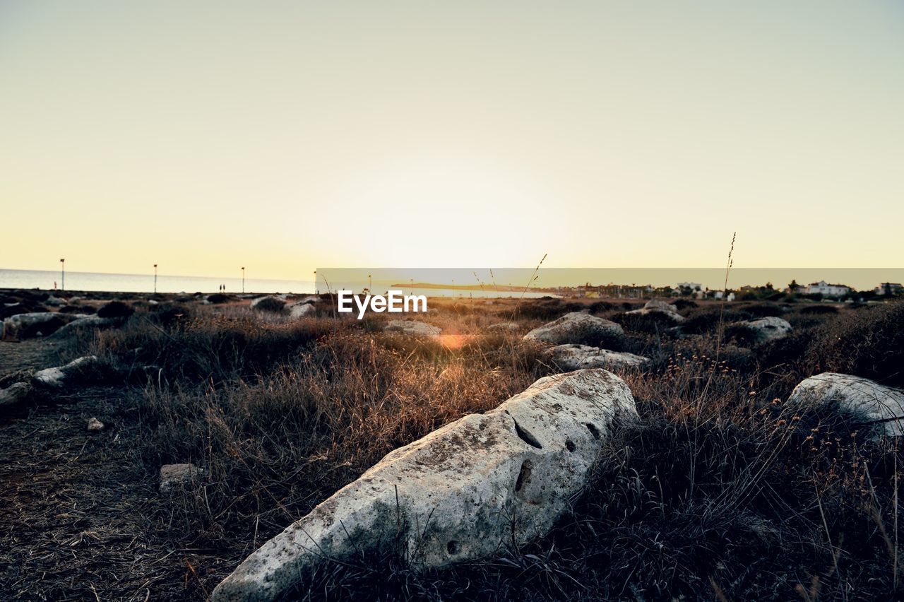 VIEW OF LANDSCAPE AGAINST CLEAR SKY
