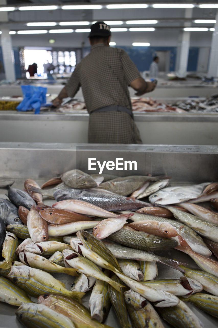 Rear view of man selling fish