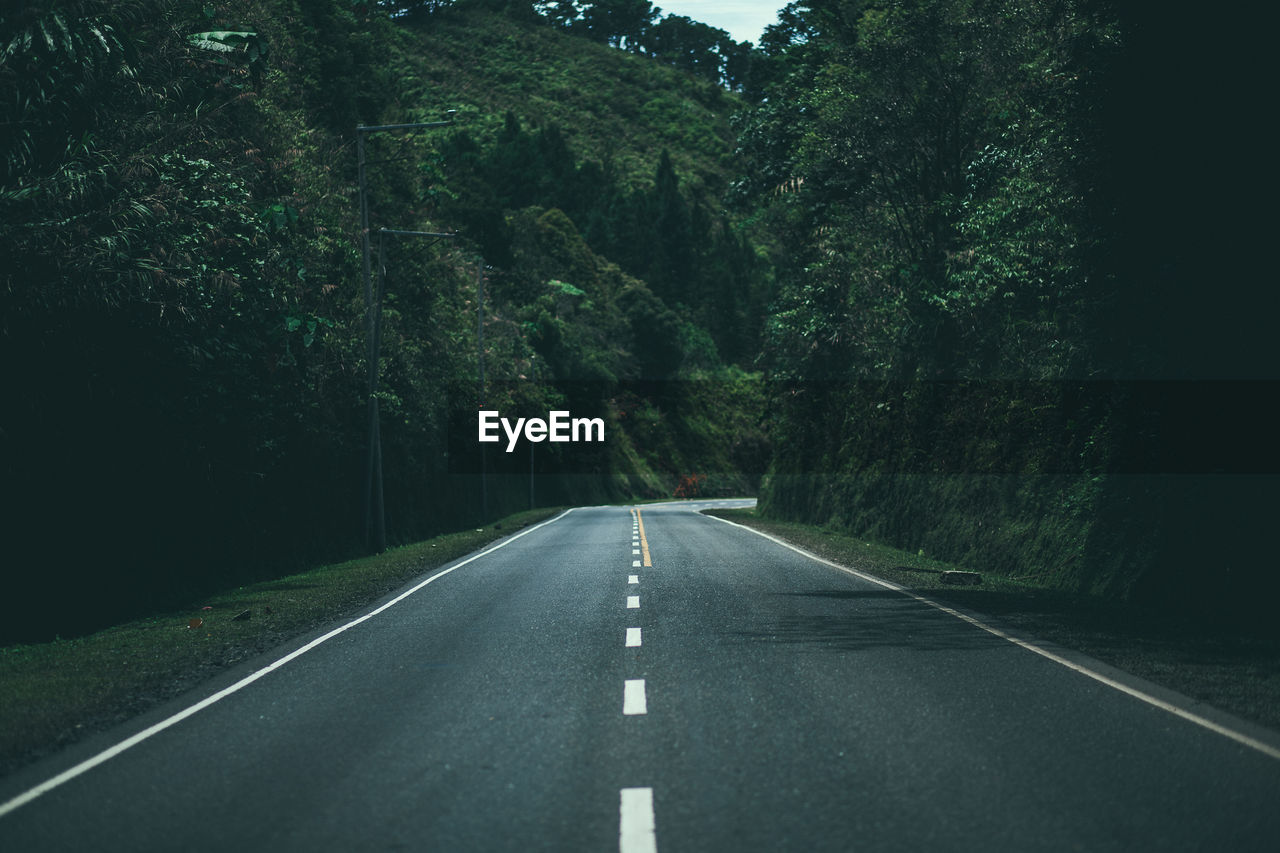 Empty road amidst trees in forest