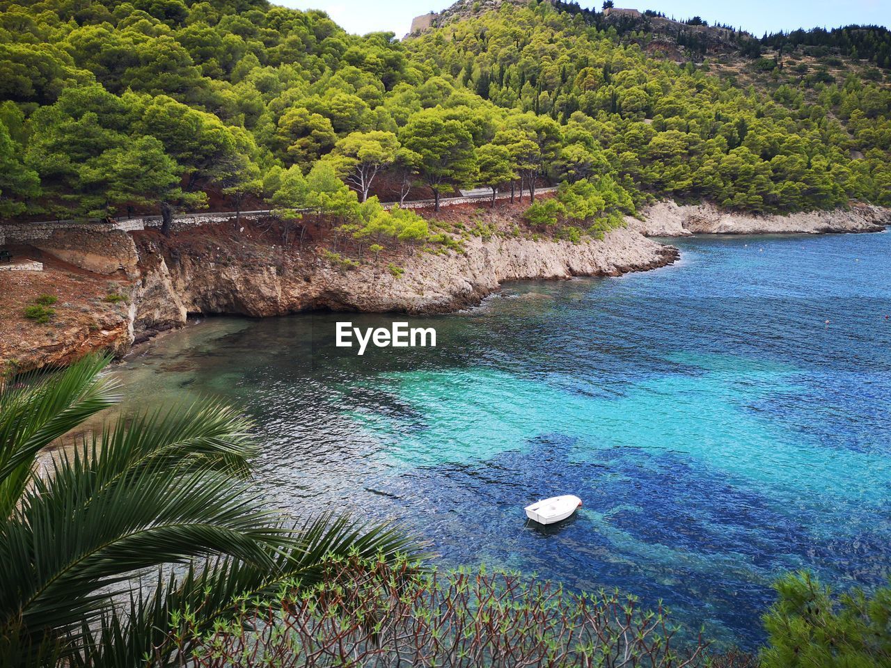 High angle view of sea and trees