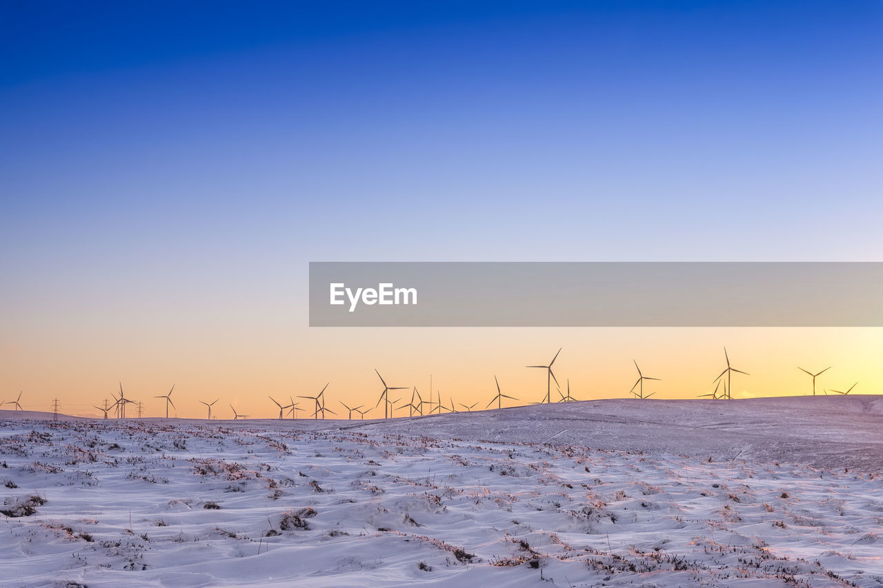 Great britain, scotland, east lothian, lammermuir hills, wind farm in winter at sunset