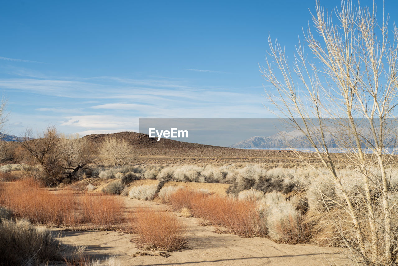 Scenic view of arid landscape against sky