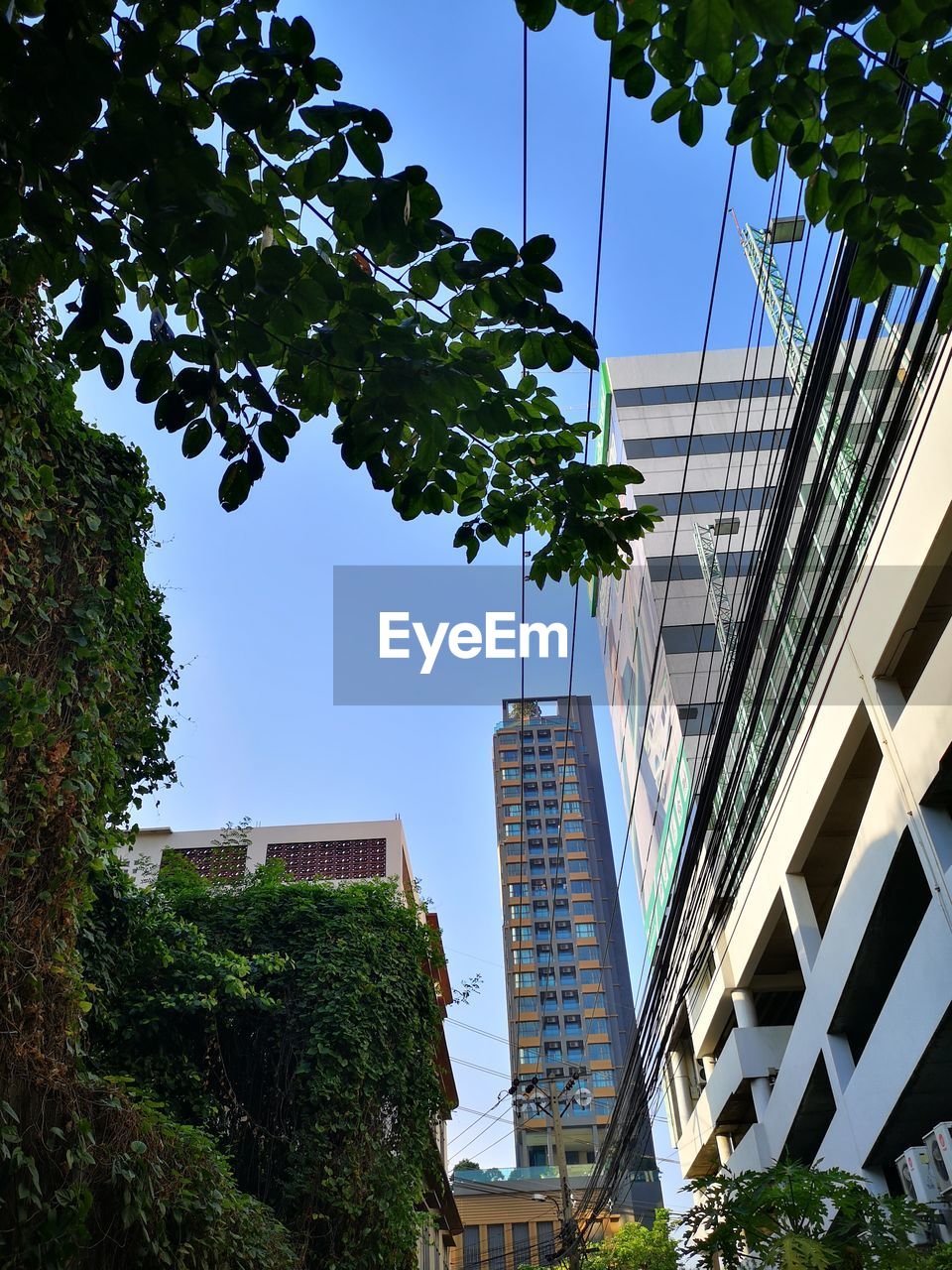LOW ANGLE VIEW OF MODERN BUILDINGS AGAINST SKY