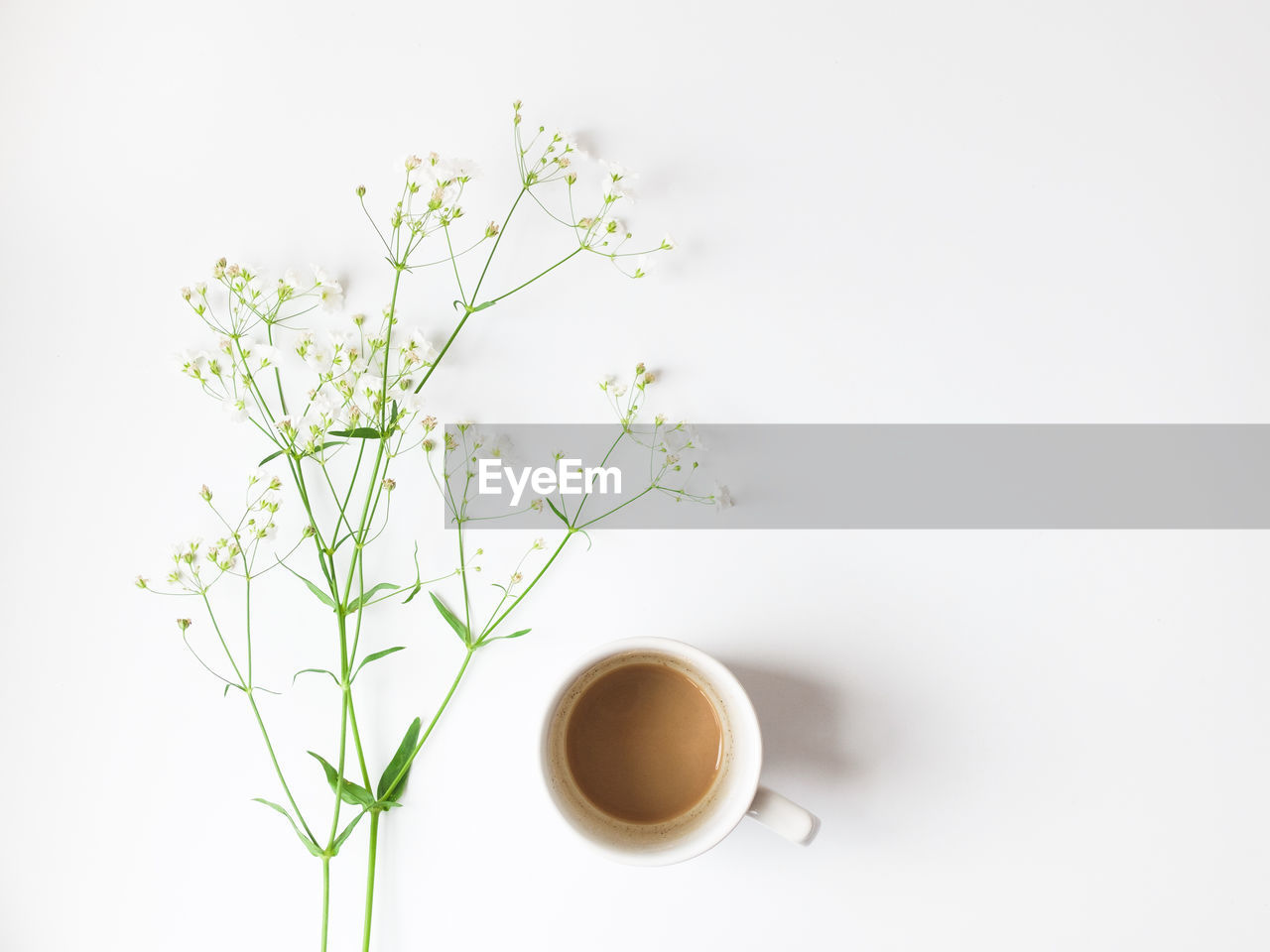 Directly above shot of coffee leftovers by flowers over white background